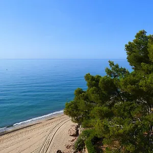 rentalmar-miami-palace-plus.catalonia-hotels.com/