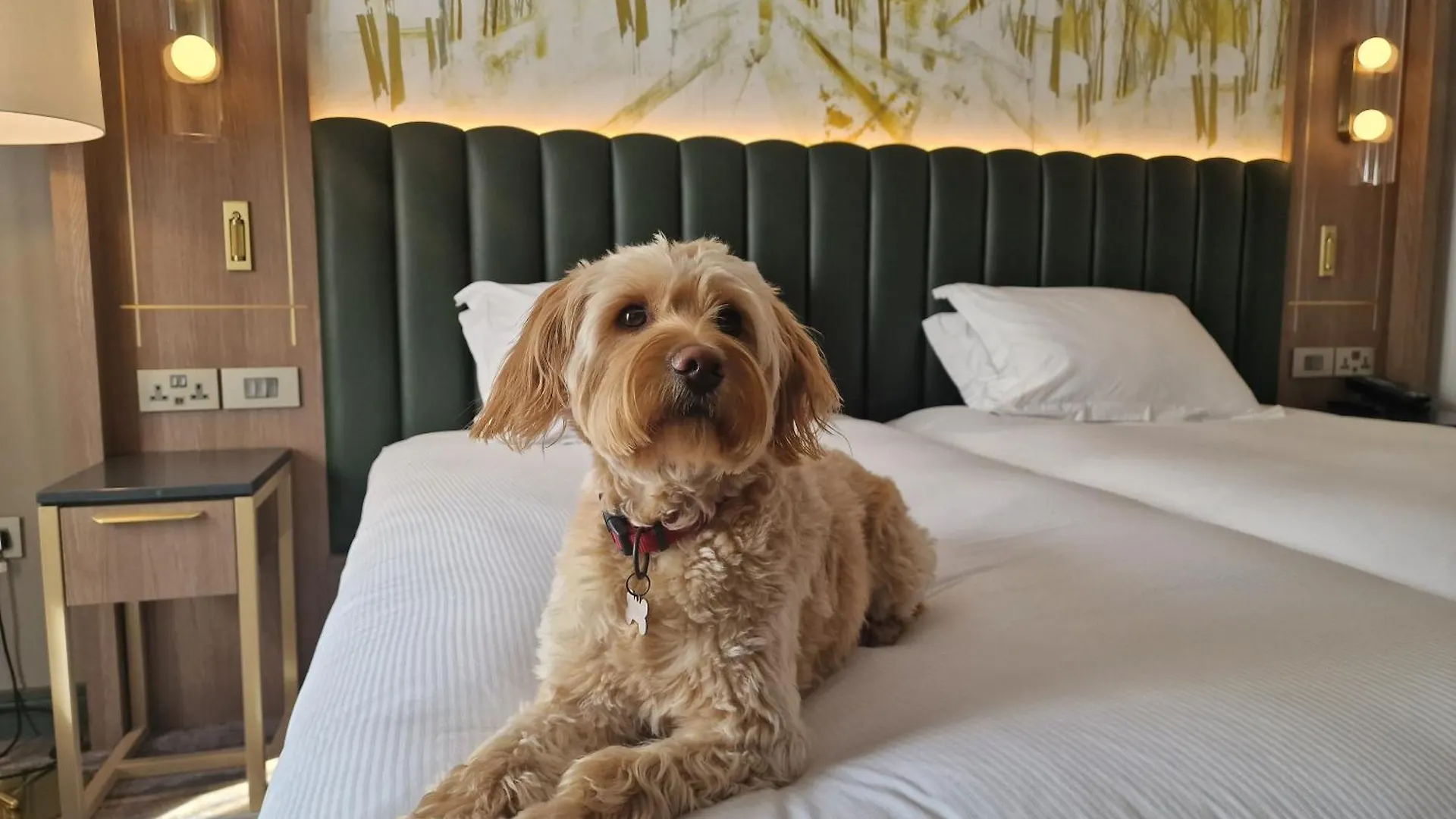 Hotel Hilton Dublin Kilmainham 4*,  Irlandia